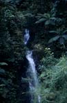Waterfall in the Fiji rainforest