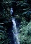 Fascinating waterfall in the Fiji rainforest
